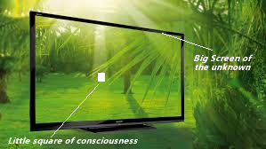 Among all the things arising in our life (the Big Screen) only a tiny little square is visible to our consciousness.